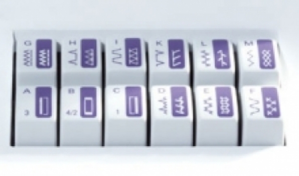 Pfaff Select 4.2 mit IDT-System